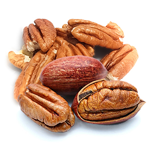 Pecan