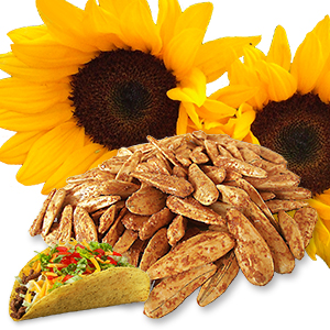 White sunflower seeds taco